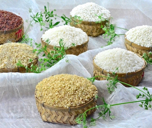 Rice